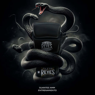 MMA-Handschuhe Cleto Reyes Black Mamba Ausbildung