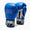 Boxhandschuhe Leone Iconic GN208