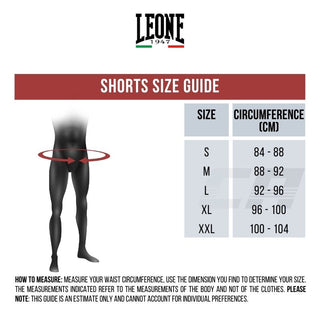 Trainingshorts Leone Fahne ABX812