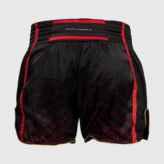 Kick-Thai Shorts Venum x Tekken 8 Marshall Law