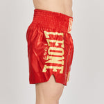 Pantaloncini kick-thai Leone DNA AB966-Combat Arena